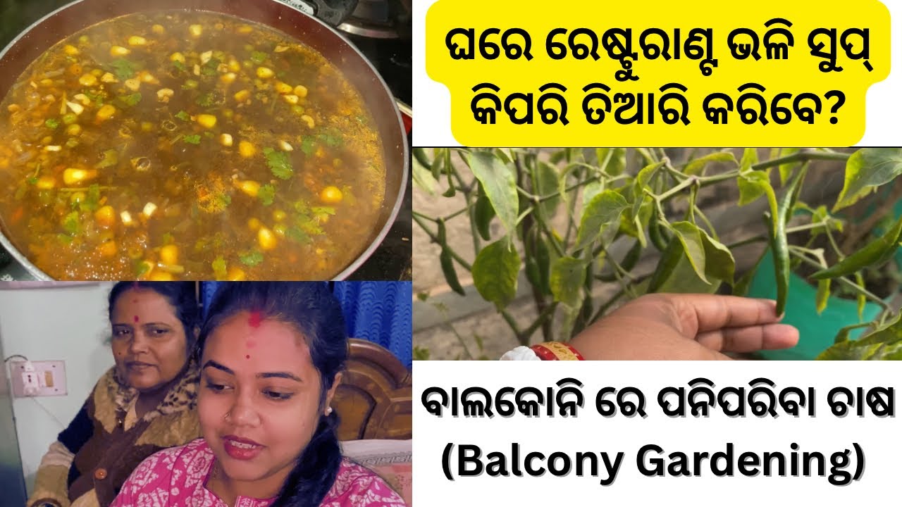 Restaurant Style Veg Manchow Soup 🍲| ଘରେ ବନାନ୍ତୁ ସୁଆଦିଆ ଭେଜ୍ ମଞ୍ଚାଓ ସୁପ୍ | Balcony Gardening🪴