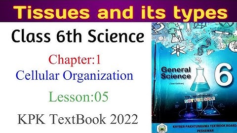 Class 6th Science chapter 1|Celluar Organization| Tissues in Pashto|KPK#class6 #science