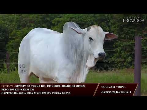 LOTE 76   EPCO 3489