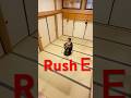 【RushE】坊主がボーンで上手なRushのEやった