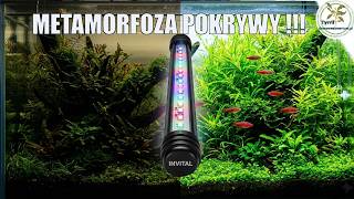 Jakie oświetlenie LED do akwarium z pokrywą? Test Invital LED WRGB i DayNightTuby 4k screenshot 5