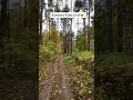 Какава красота #осень #красиво #викторволкер