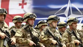 В Грузии назвали предполагаемые сроки вступления в НАТО В Грузии назвали предполагаемые сроки вступления в НАТО