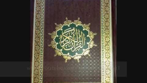 سورة التكاثر   محمد حسان