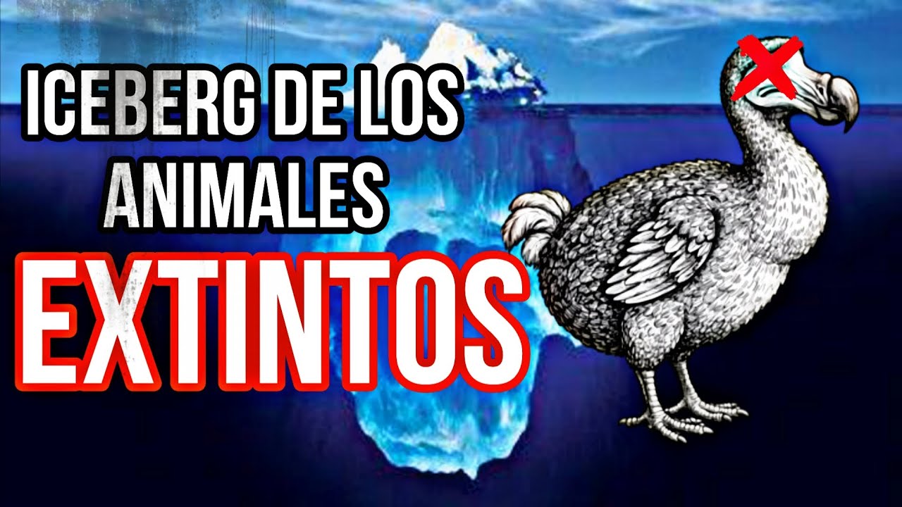 ICEBERG DE LOS ANIMALES EXTINTOS POR EL SER HUMANO #iceberg