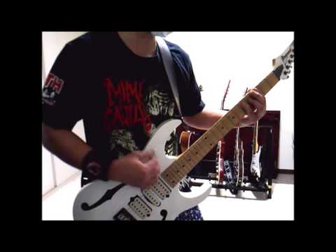 【あなたに】MONGOL800【弾いてみた】