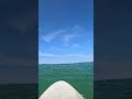 Swim to Surf Lineup! Raw POV #Shorts