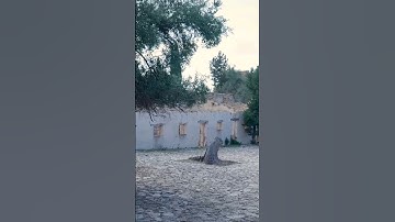 Cổ tục trong thờ cúng tổ tiên tại Việt Nam tin rằng linh hồn của người đã khuất luôn ngự bên bàn thờ