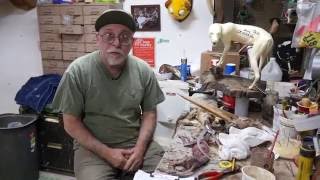 Correctly Measuring Lifesize Taxidermy