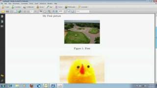 Latex Software  Demo-5 of  6 By D.Kesavaraja