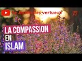 13 la compassion en islam
