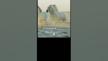 الشيخ أحمد العجمي           سورة العاديات