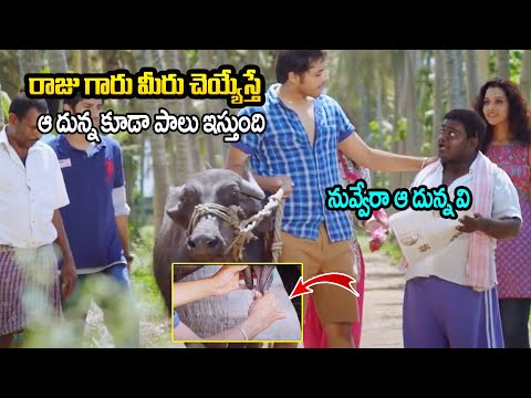 Paathshala Telugu Movie Scenes | Paathshala Movie Comedy Scenes | Nandu | Anu Priya | LoL OK Please