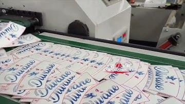 Flexo-printing Machine With Die-cutting Part | Wenzhou Daba Machinery