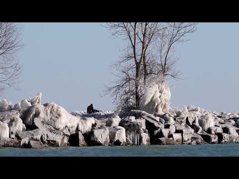 Family Day Ice Along Cobourg February 19, 2024