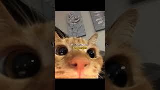 Download Lagu System Of A Down - Radio/Video (Official Lyric Video) @systemofadown MP3