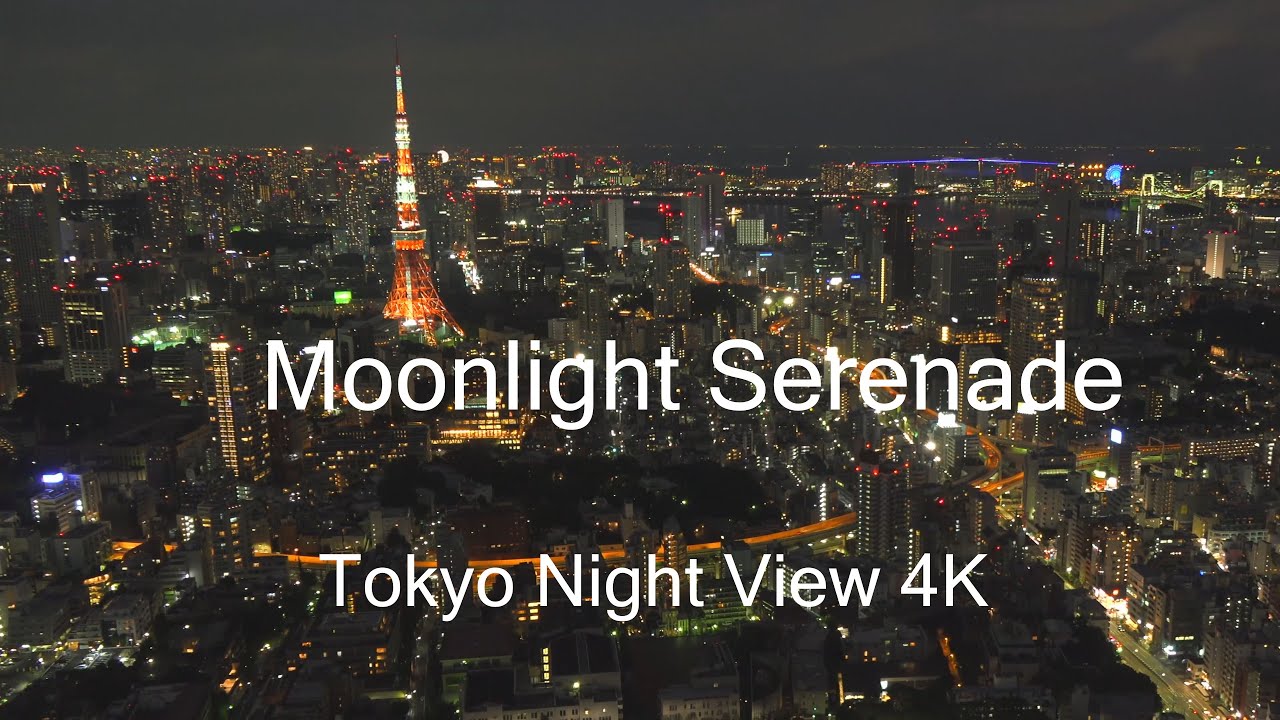 Moonlight Serenade / Tokyo Night View 4K