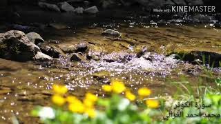 #جزء عم / سورة الكوثر بصوت هادئ محمد آحمد الغزالي