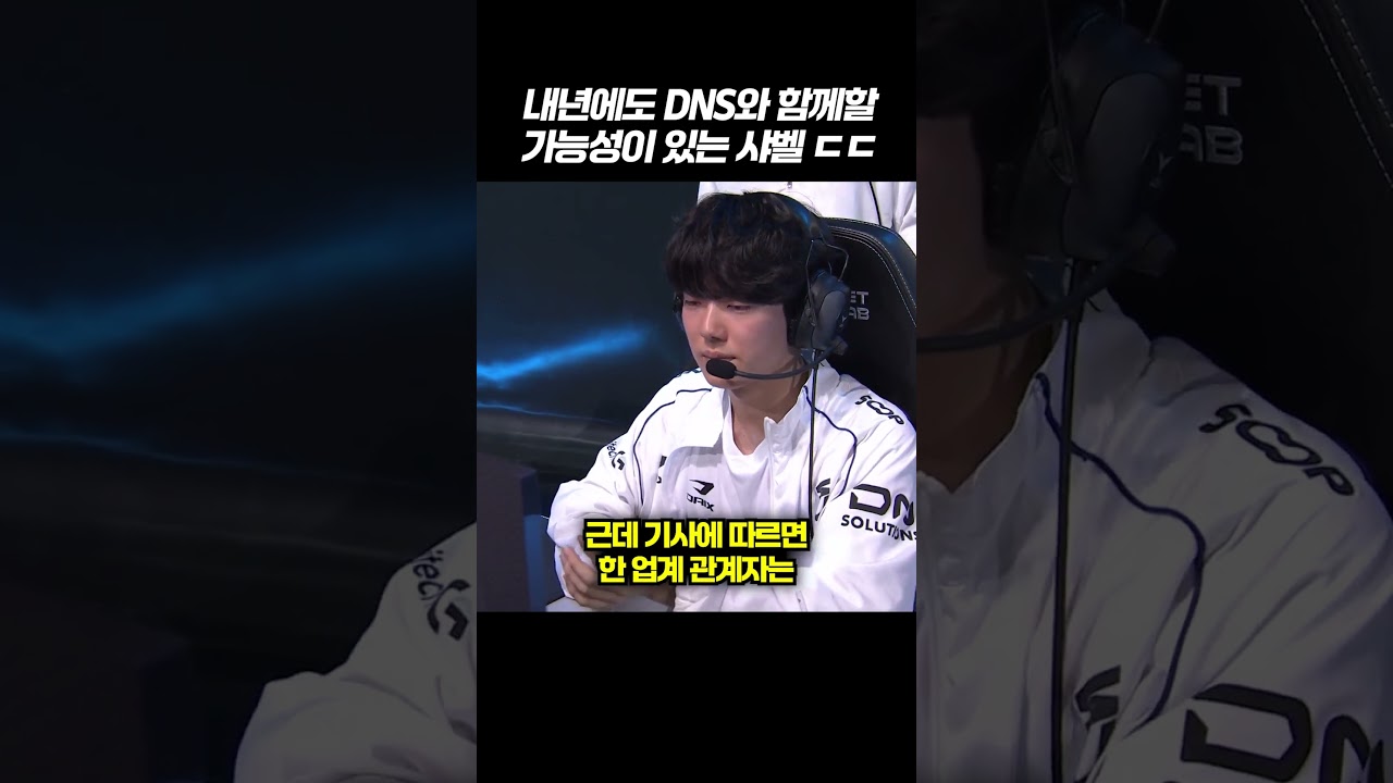 샤벨 DNS와 1년 더?