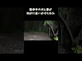 犬と妻が何かに追いかけられた