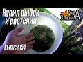 Новые рыбки и новые растения (Аква Хижина, выпуск 154)