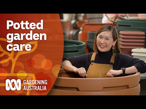 Video: Leërwurmplantskade - Hoe om leërwurms in tuine te beheer