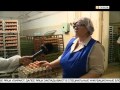 90 тысяч яиц породы Хай Лайн получила Якутская Птицефабрика