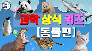 동물 상식 퀴즈