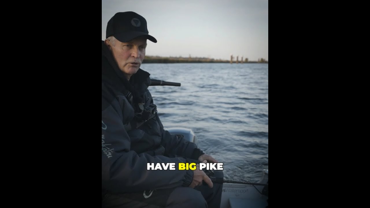 EDDY'S FAVOURITE💥