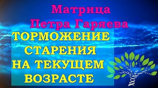 Настоящая Матрица Гаряева🍀Торможение Старения на Текущем Возрасте🎧Matrix Garyaev🍀Aging Inhibition