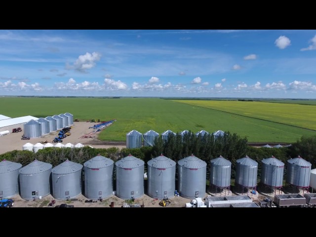 Canadian farmers. Delage farms. Indian Head, Saskatchewan, Canada. (4K video) #MYAGROTOURS class=