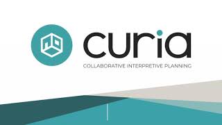 Managing Interpretive Plan Categories (Add, Edit, Delete) in Curia
