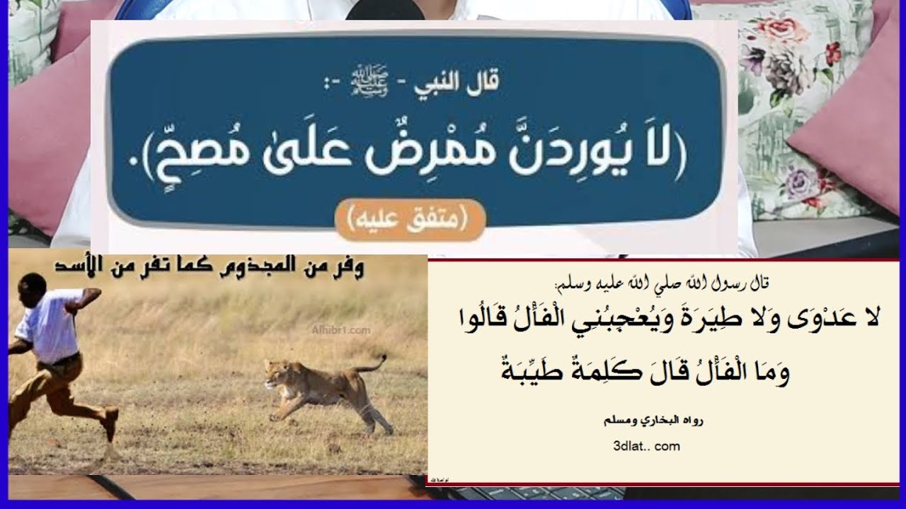 ما معنى حديث ( لا عدوى ولا طيرة ولا هامة ولا صفر ) ؟