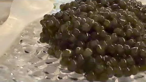 Qatar Airways 77 First Class | black caviar and Beluga vodka on the sky #firstclass #blackcaviar