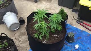 Update from last week