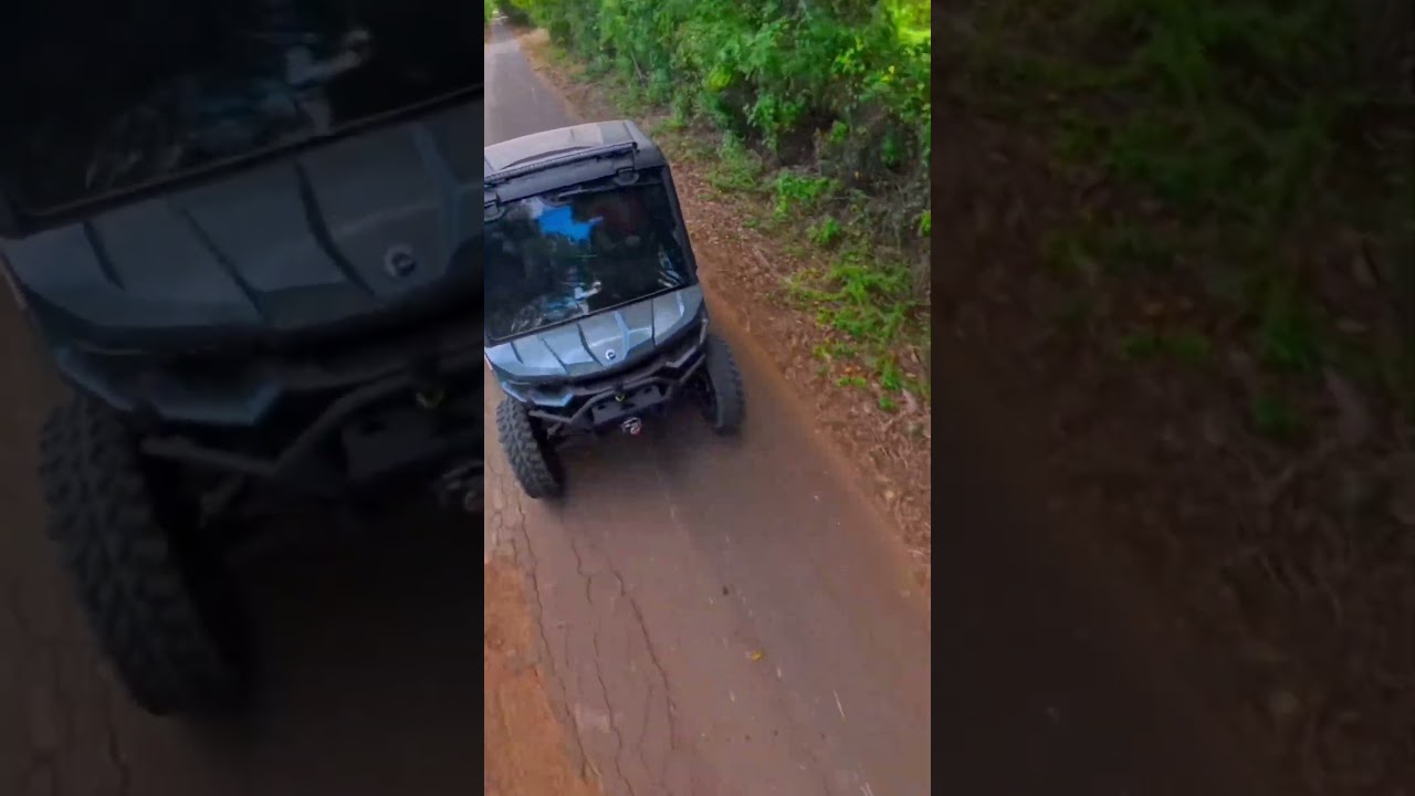 “Loading Feeders & Counting Down! 🦌 