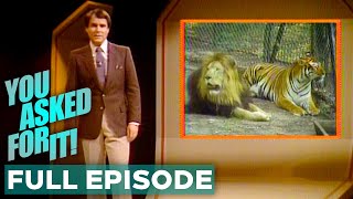 Famous 10yo Stunt Rider, Liger Offspring, Medieval Jousting, & MORE | You Asked For It | FULL Episode Net Worth