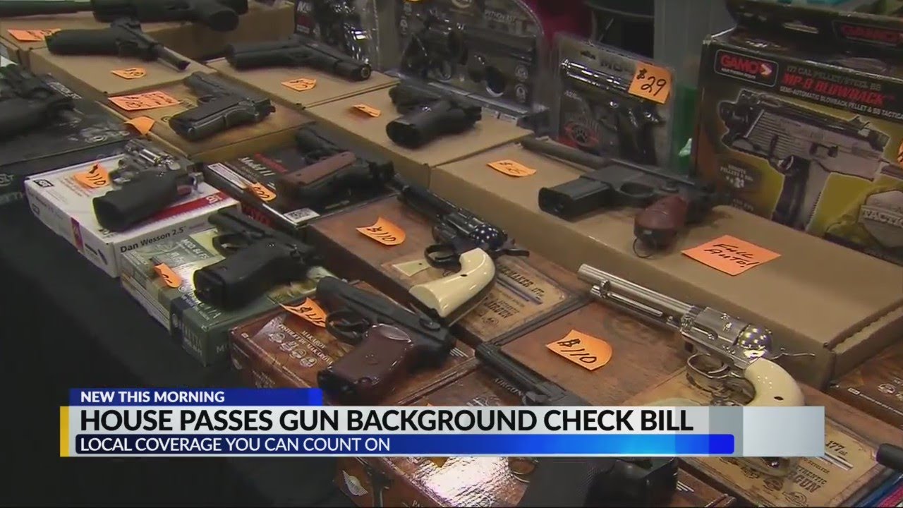 House of Representatives tries to pass gun background check bill