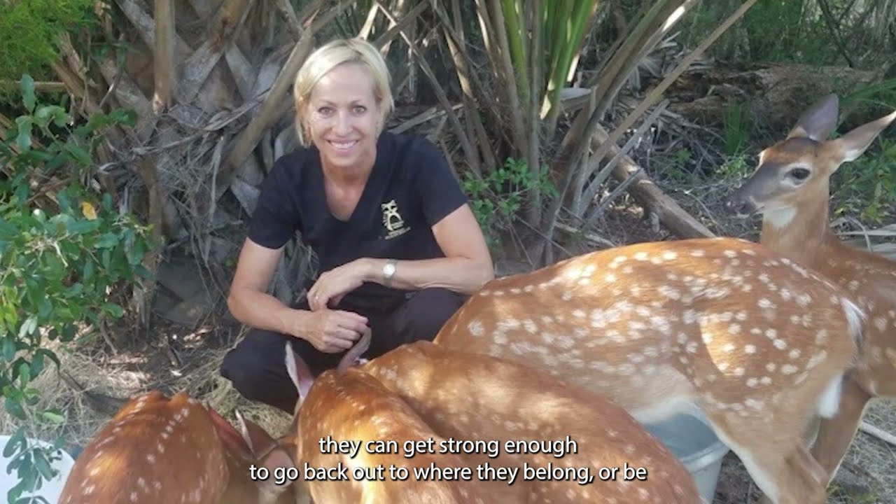 2025 Savannah Wildlife Rescue Center [Short]