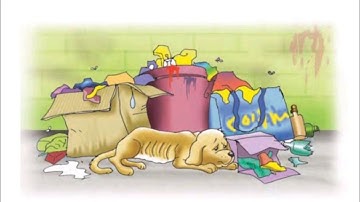 Class 4 English Lesson 5 Rescue Part 1