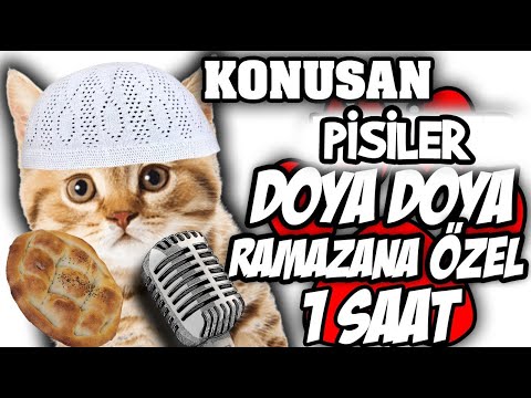 Ramazana Özel Doya Doya Bir Saat Konuşan Pisiler