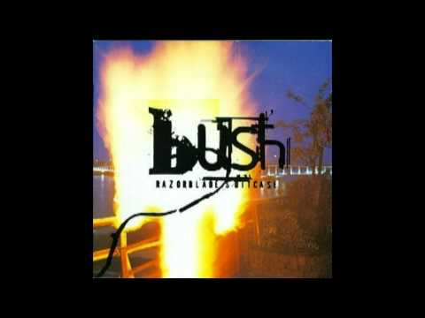 Bush - A Tendency To Start Fires