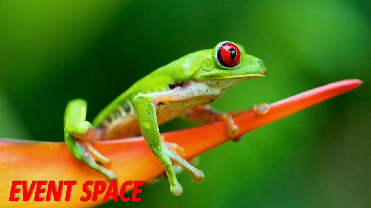 Social Media for Photographers | Jeff Cable Social Media for Photographers | Jeff Cable #1