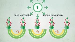 Controlled Release Fertilizers - Single Application, Multiple Benefits (Bulgarian)