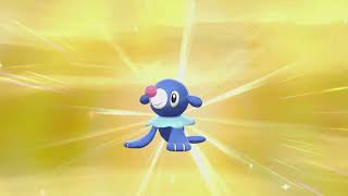 Shiny Popplio💙💙!! Only 168 Eggs!!!