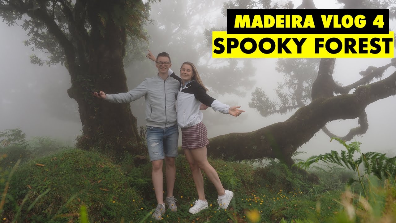 SPOOKY FORREST! | MADEIRA 🇵🇹 - Vlog 4