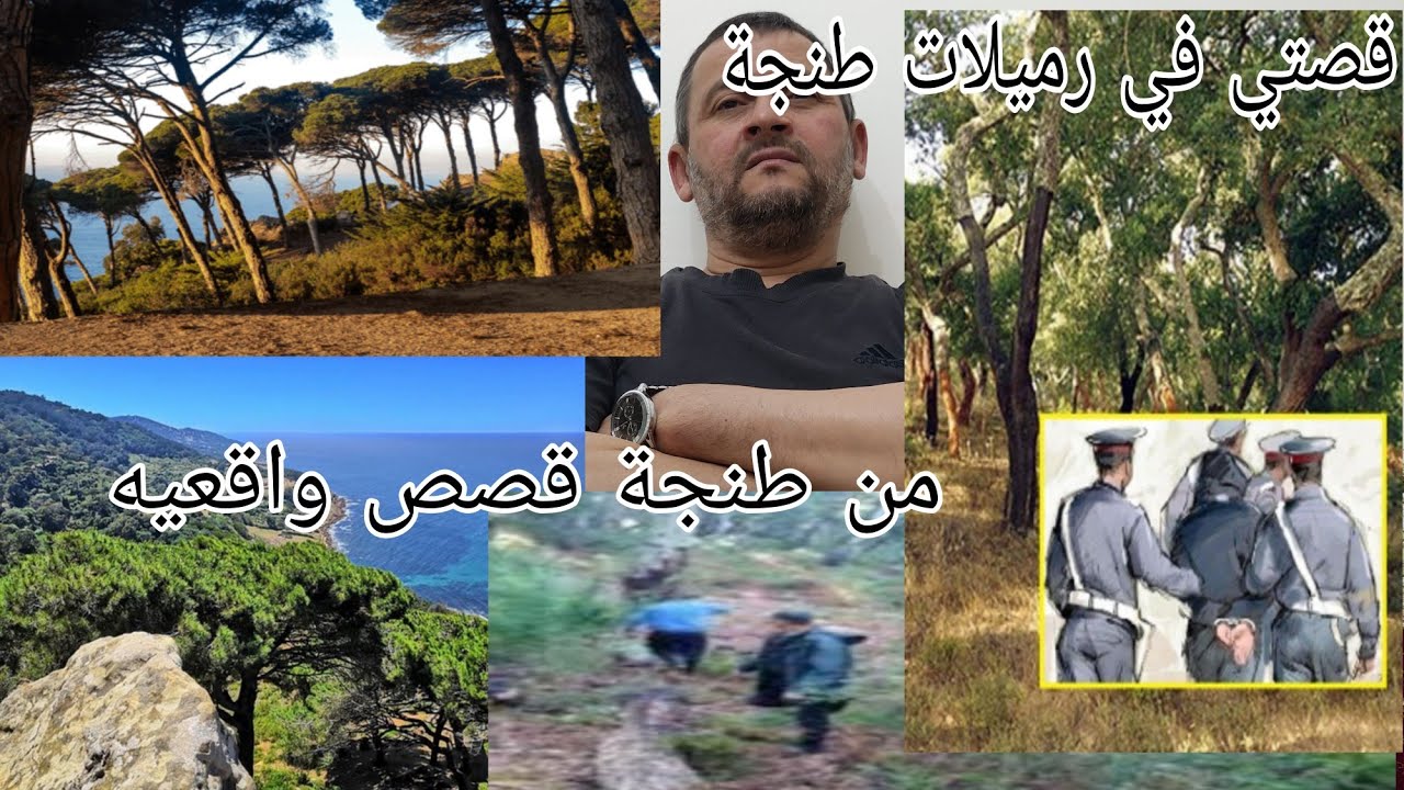 قصتي مع عصابة خطيرة فوق قمم أشجار غابة الرميلة