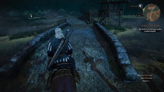Famous The witcher 3 invisible wall glitch (roach cant move)  Profile