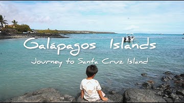 How To Get To The Galapagos Islands | Vlog | HD Family Travels