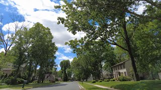 A Walk in a Quiet American Neighborhood